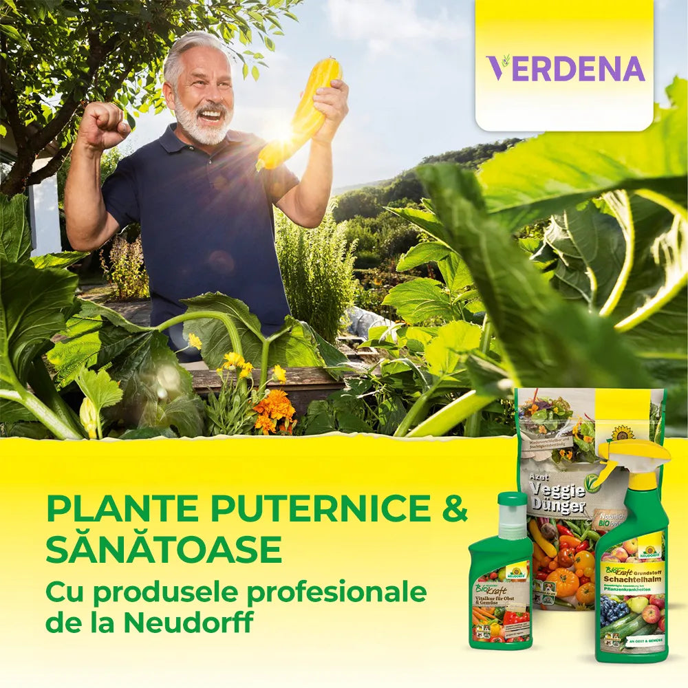 Biostimulator de inradacinare pentru plante puternice, 40 g, Neudorff