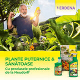 Biostimulator de inradacinare pentru plante puternice, 40 g, Neudorff