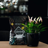 Substrat Mineral LECHUZA Blackstonepon 12 l, 100% fara turba, culoare neagra deosebita, cu ingrediente naturale