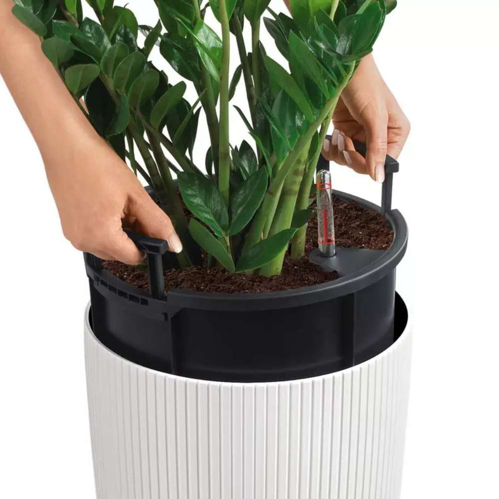 Ghiveci Auto-Irigant Lechuza Cilindro Color 32, 13 l, bej mat, sistem de autoirigare, insert detasabil, strat de drenaj