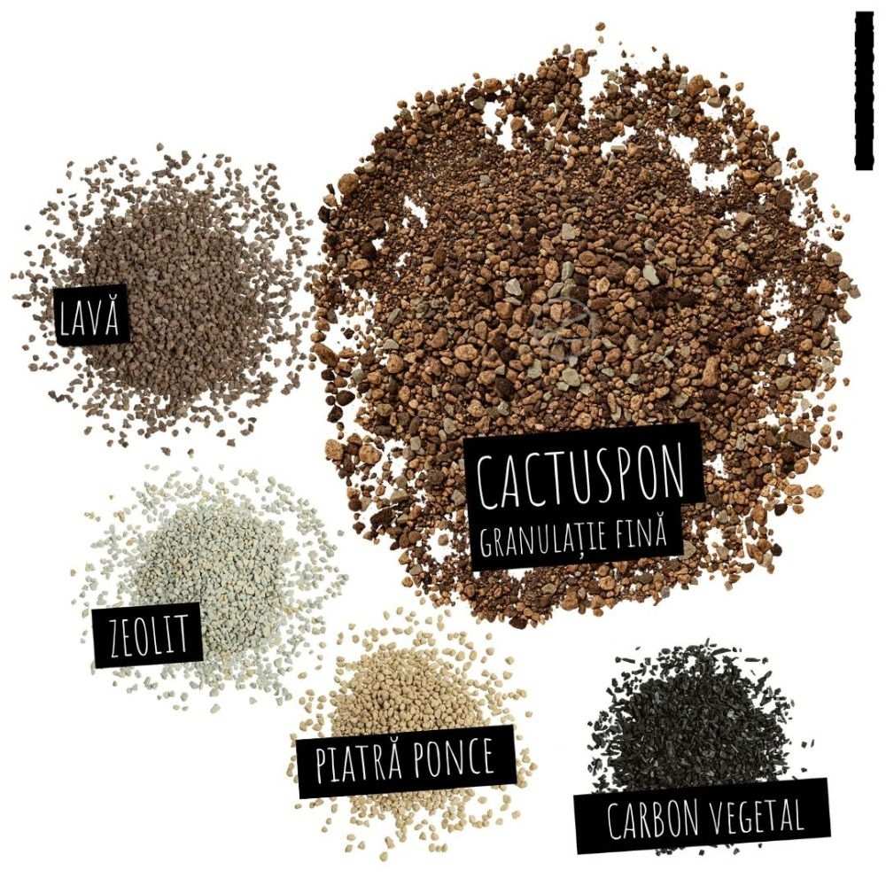 Substrat Mineral LECHUZA Cactuspon 6 l, pentru cactusi si suculente, 100% fara turba, cu ingrediente naturale