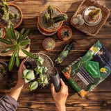 Substrat Mineral LECHUZA Cactuspon 6 l, pentru cactusi si suculente, 100% fara turba, cu ingrediente naturale