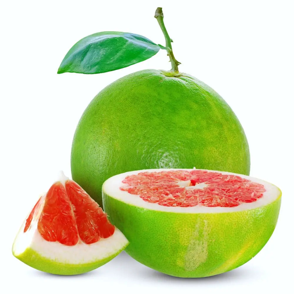 Pomelo (Citrus Maxima), cu fructe galben-verzui dulci, an 2 pe rod