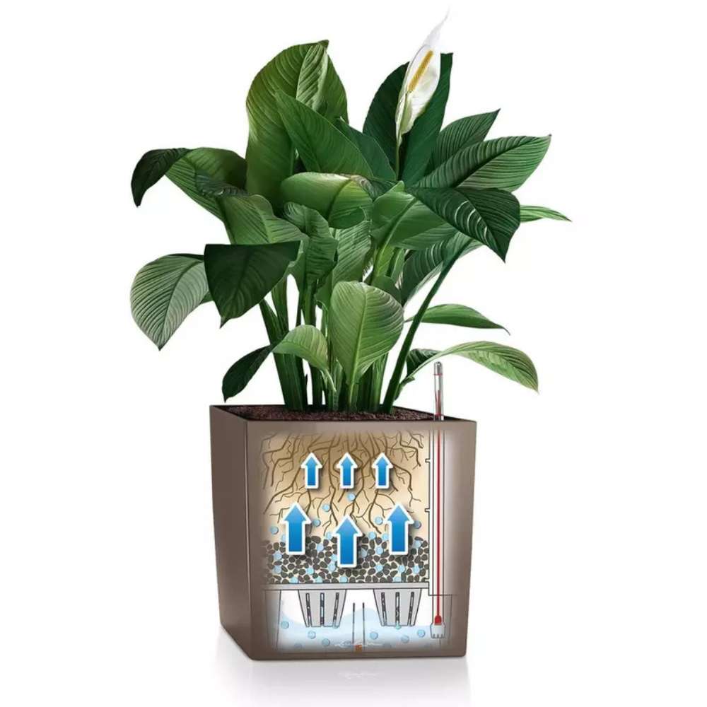 Ghiveci Auto-Irigant Lechuza Cube Premium 30, 12 l, negru metalic, sistem de autoirigare, insert detasabil, strat de drenaj
