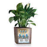 Ghiveci Auto-Irigant Lechuza Cube Premium 30, 12 l, negru metalic, sistem de autoirigare, insert detasabil, strat de drenaj