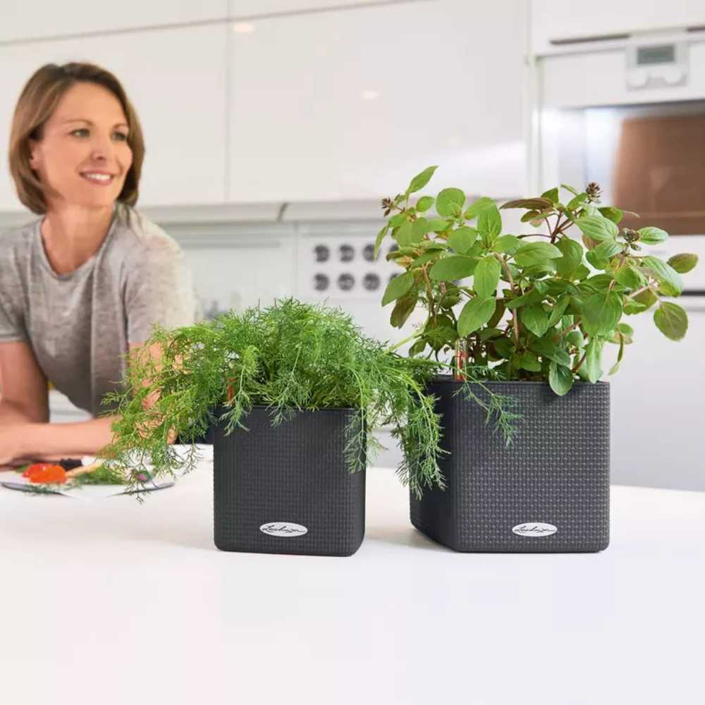 Ghiveci Auto-Irigant Lechuza Cube Color 14, efect de ratan negru, pentru plante cu ghiveci, sistem de autoirigare, insert detasabil, strat de drenaj