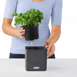 Ghiveci Auto-Irigant Lechuza Cube Color 14, efect de ratan negru, pentru plante cu ghiveci, sistem de autoirigare, insert detasabil, strat de drenaj