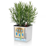 Ghiveci Auto-Irigant Lechuza Cube Color 14, efect de ratan negru, pentru plante cu ghiveci, sistem de autoirigare, insert detasabil, strat de drenaj