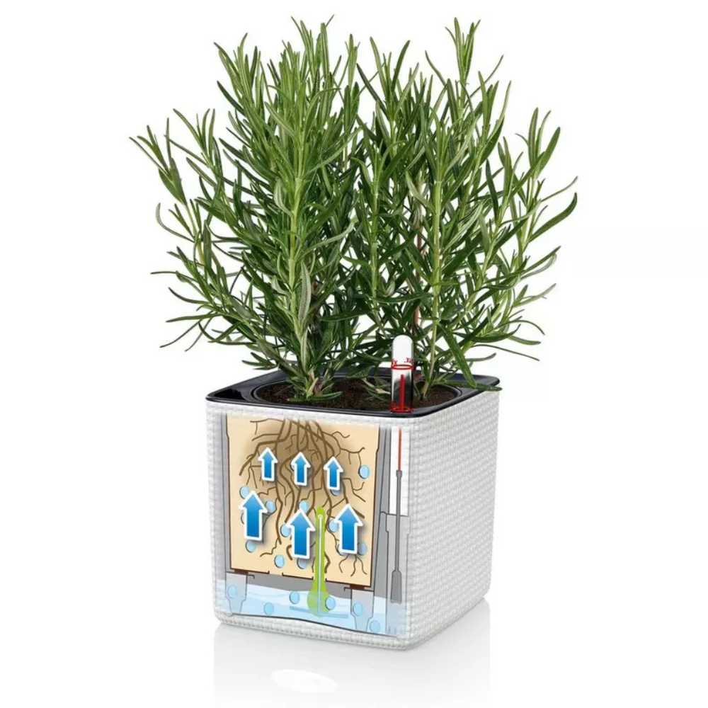 Ghiveci Auto-Irigant Lechuza Cube Color 16, efect de ratan negru, pentru plante cu ghiveci, sistem de autoirigare, insert detasabil, strat de drenaj