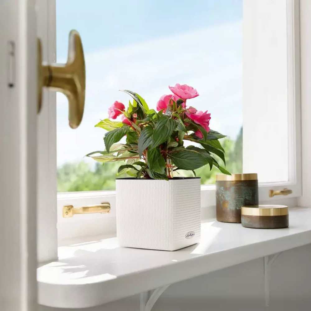 Ghiveci Auto-Irigant Lechuza Cube Color 16, efect de ratan alb, pentru plante cu ghiveci, sistem de autoirigare, insert detasabil, strat de drenaj