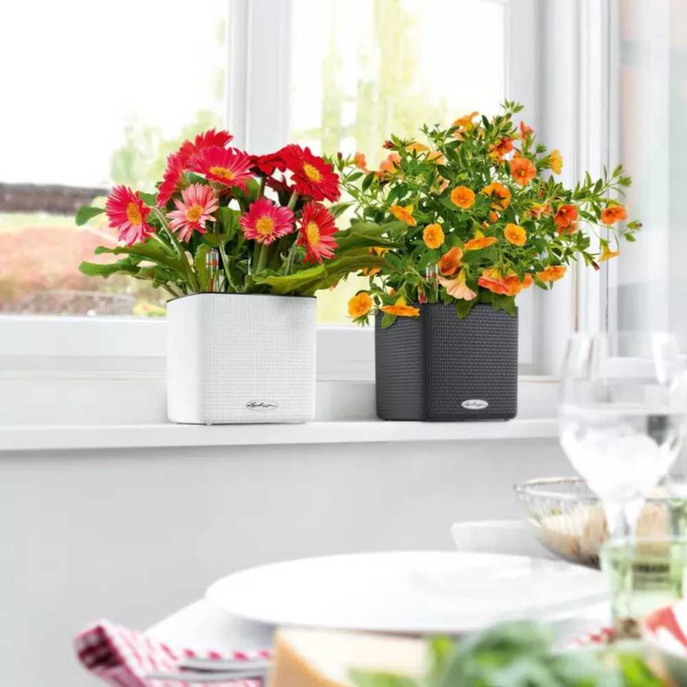 Ghiveci Auto-Irigant Lechuza Cube Color 16, efect de ratan negru, pentru plante cu ghiveci, sistem de autoirigare, insert detasabil, strat de drenaj
