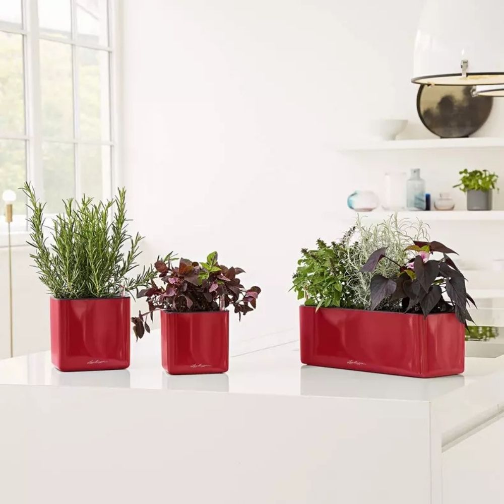 Ghiveci Auto-Irigant Lechuza Cube Glossy 16, rosu lucios, pentru plante cu ghiveci, sistem de autoirigare, insert detasabil, strat de drenaj