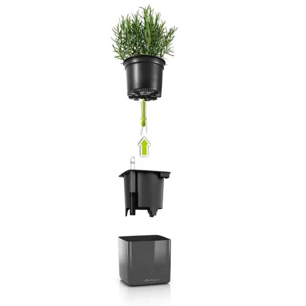 Ghiveci Auto-Irigant Lechuza Cube Glossy 16, rosu lucios, pentru plante cu ghiveci, sistem de autoirigare, insert detasabil, strat de drenaj