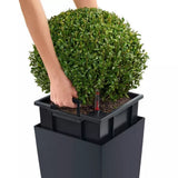 Ghiveci Auto-Irigant Lechuza Cubico Color 30, 14 l, negru mat, sistem de autoirigare, insert detasabil, strat de drenaj
