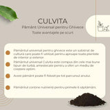 Culvita Pamant universal pentru Plante Verzi de Interior si Exterior 70 l