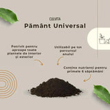 Culvita Pamant universal pentru Plante de Verzi Interior si Exterior 40 l, taxa ambalare inclusa