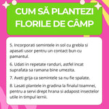 Seminte de Flori de Camp Mix pentru pentru Fluturi, Ingrasamant si Seminte 2-in-1, 260 g pentru 5m², CUXIN DCM