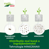 Ingrasamant Special pentru Laur Englezesc, 1.5 kg, Efect de Lunga Durata, CUXIN DCM