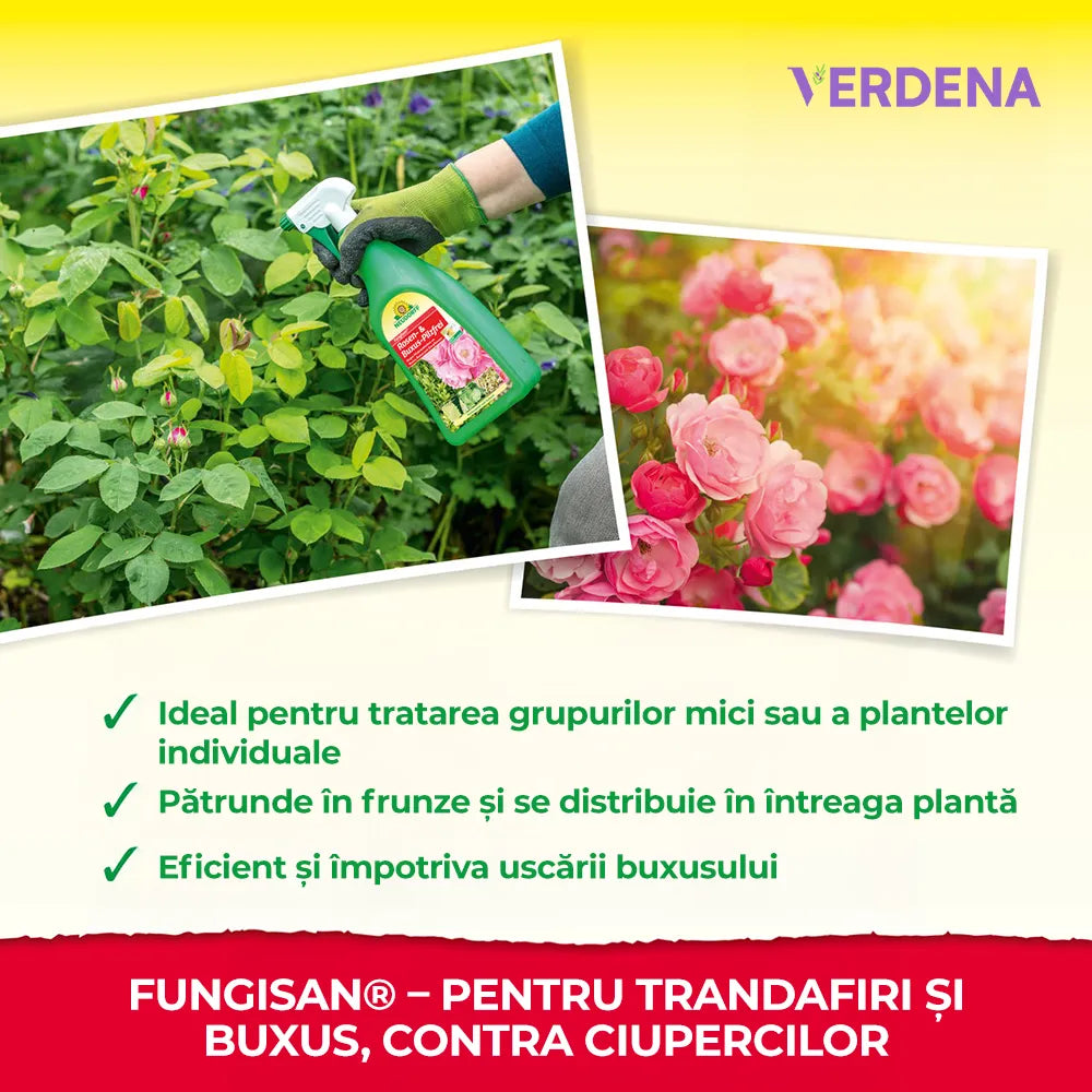 Spray Fungicid Organic Fungisan pentru trandafiri si buxus, contra boli fungice, fainare, rugina, natural si sigur pentru albine, 1L, NEUDORFF