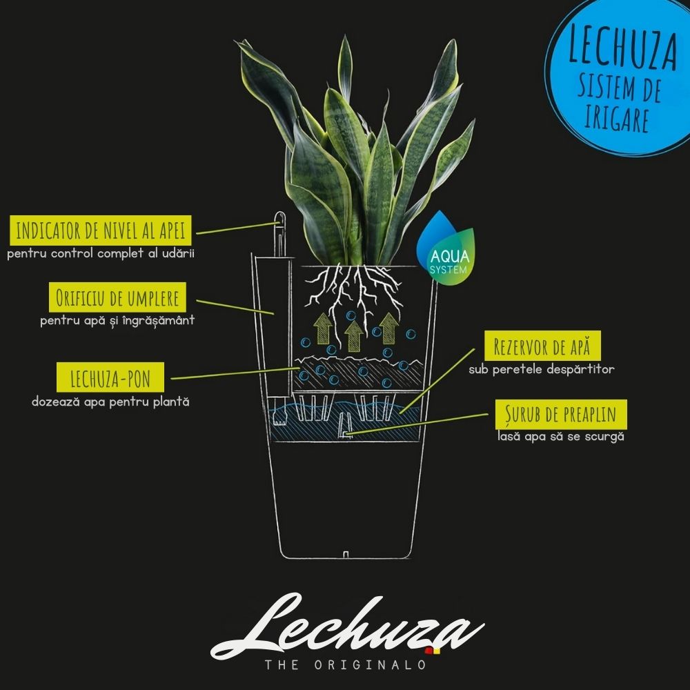 Ghiveci Auto-Irigant Lechuza Orchidea 1 l, Bej mat, pentru orhidee, sistem de autoirigare, insert detasabil, strat de drenaj