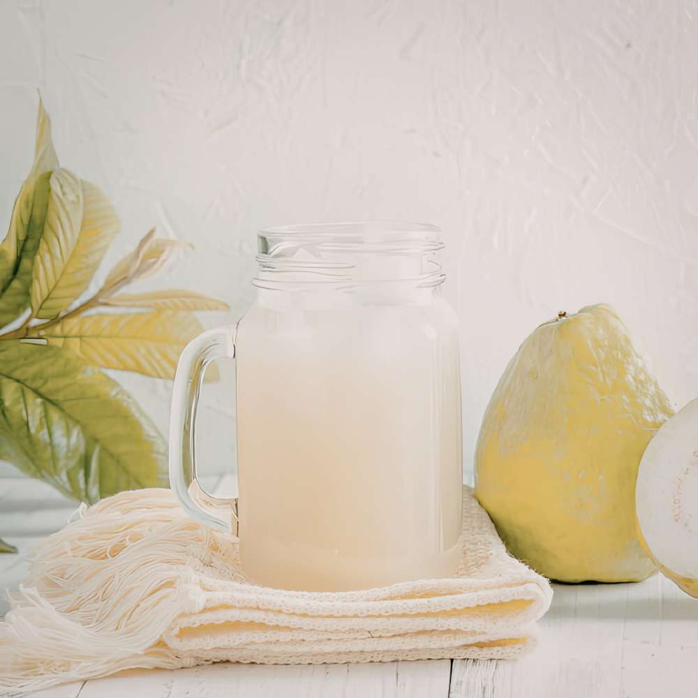 Лимонова гуава (Psidium guajava), в саксия, екзотично растение с сладко-кисели тропически плодове с наситен аромат
