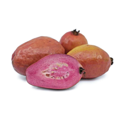 Гуаябито пурпуреа (Psidium eugeniaefolia), в саксия, екзотично растение с ароматни червени сладко-кисели плодове и розова ядлива месеста част