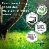 Тор за Ливада Substral, 2 kg за 200 m², с бавно освобождаване, Ефект 100 дни с инкапсулиран Азот