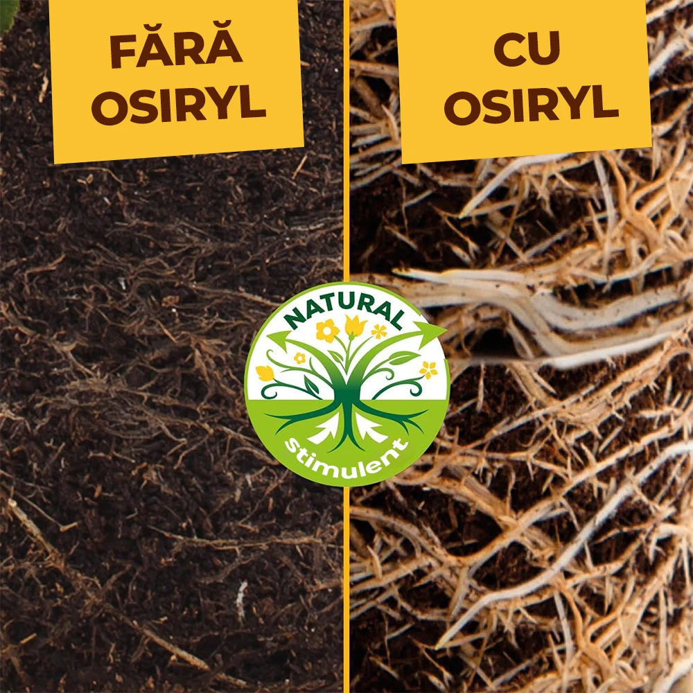 Ingrasamant Special pentru Flori si Plante Perene, 2.5 kg, cu Efect Imediat si de Lunga Durata, SOLABIOL
