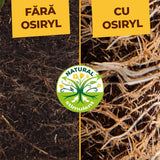 Ingrasamant Special pentru Flori si Plante Perene, 2.5 kg, cu Efect Imediat si de Lunga Durata, SOLABIOL