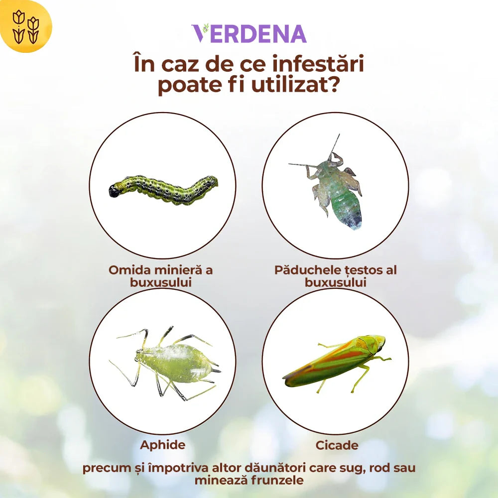 Insecticid Organic pentru Combaterea Daunatorilor la Buxus, 50 ml, SOLABIOL