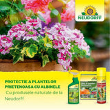 Insecticid Spray Anti-daunatori Universal Neudorff Spruzit AF, afide, omizi, tripsi, molie buxus, Neudorff - 250 ml