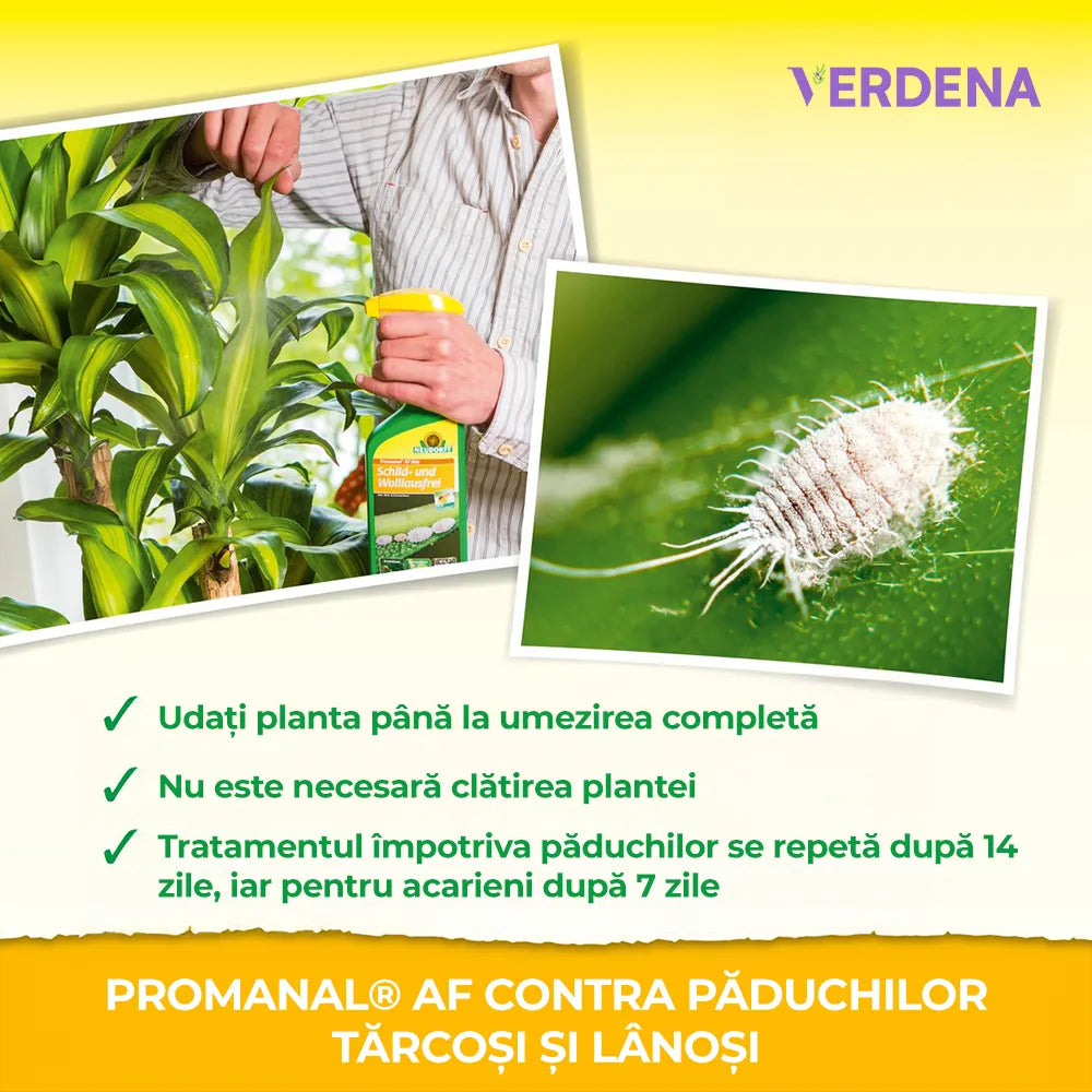 Insecticid Spray Natural Promonal Neudorff contra Paduchiilor Testoase si Lanoase, 500 ml
