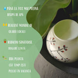 Vas de auto-udare plante  "Stea" LUTOYA, decorativ, ceramic, lut, natural, 200 ml