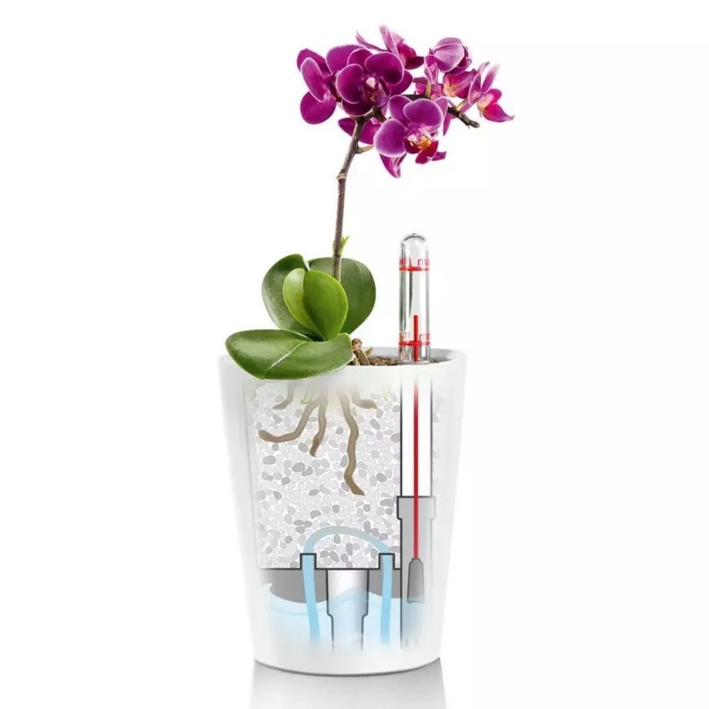 Ghiveci Auto-Irigant Lechuza Mini Deltini 0,4 l, visiniu lucios, sistem de autoirigare, insert detasabil, strat de drenaj