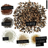 Substrat Mineral LECHUZA Palmpon 12 l, pentru palmieri si plante mediteraneene, 100% fara turba, cu ingrediente naturale