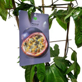 Маракуя плод на страстта (Passiflora edulis), пасифлора с екзотични виолетови ароматни плодове