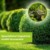 Insecticid Spray cu Efect Rapid contra Omizilor de Buxus 1 l  PROTECT GARDEN