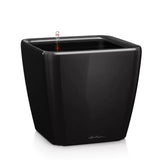 Ghiveci Auto-Irigant Lechuza Quadro Premium 21 LS, 4 l, Bej lucios, sistem de autoirigare, insert detasabil, strat de drenaj