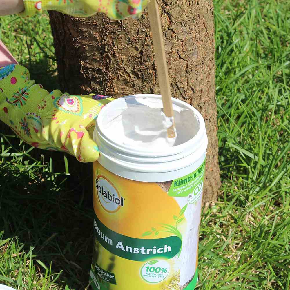 Vopsea trunchi arbori Solabiol, vopsea alba pentru protectie organica, 1 kg