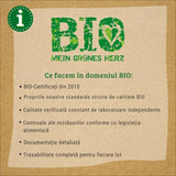 Seminte BIO ceapa verde cu banda – crestere rapida si usoara, 5 m
