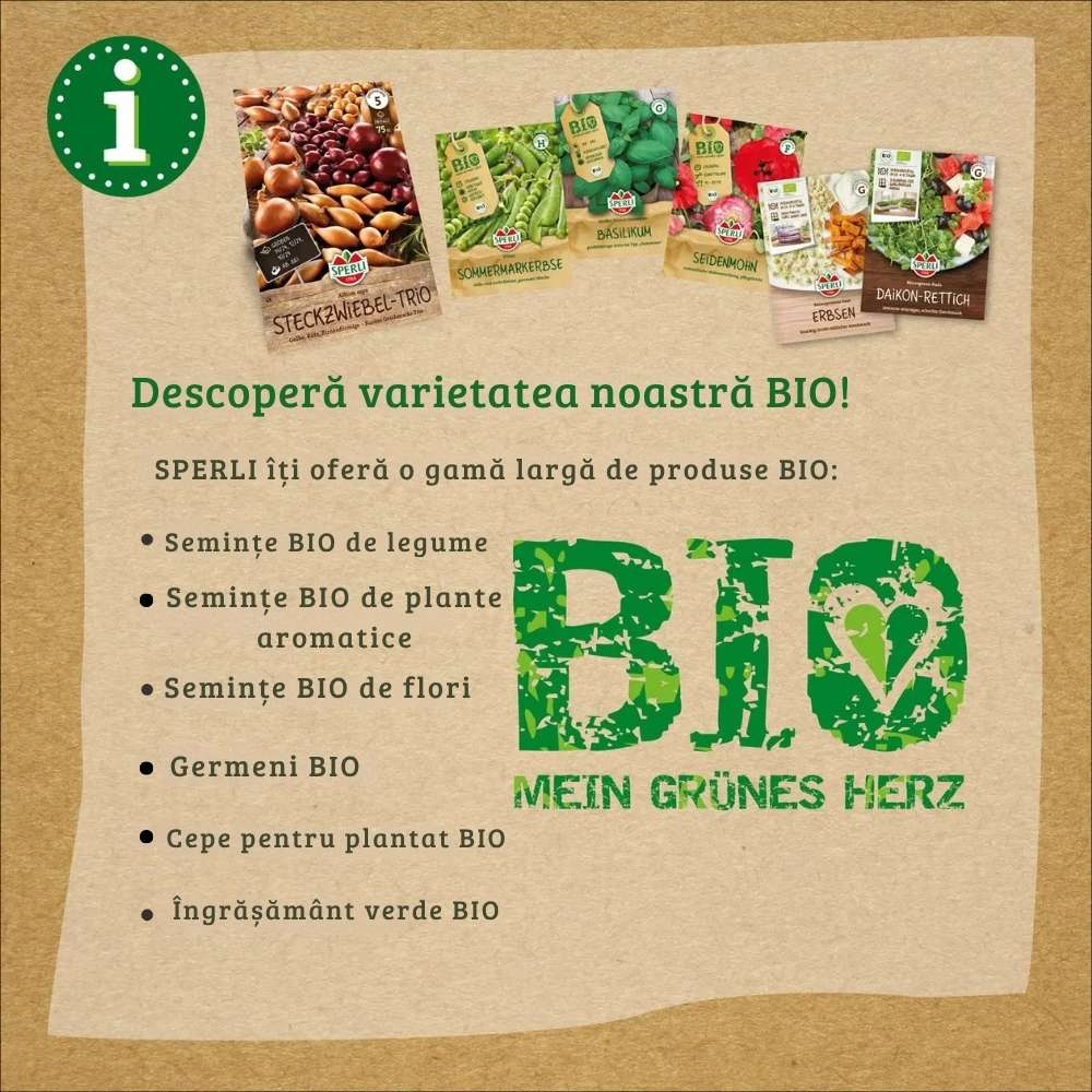 Seminte BIO ceapa verde cu banda – crestere rapida si usoara, 5 m