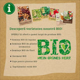 Seminte BIO ceapa verde cu banda – crestere rapida si usoara, 5 m
