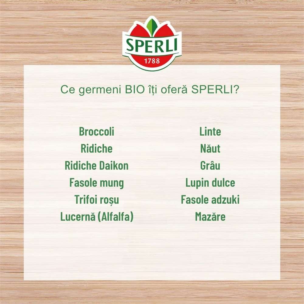 BIO lastari de fasole Mung – gust delicat si sanatos, 30 g, cu protectie germinatie