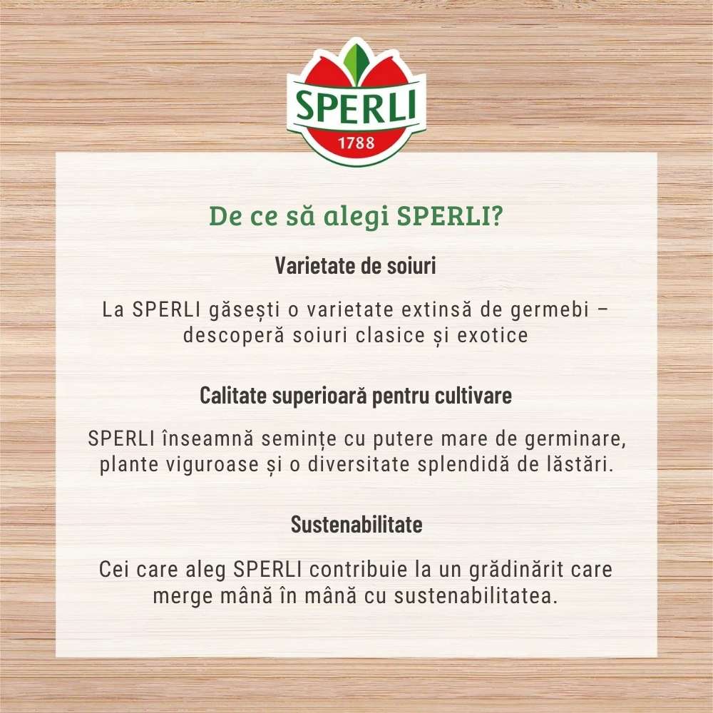 BIO lastari de fasole Mung – gust delicat si sanatos, 30 g, cu protectie germinatie