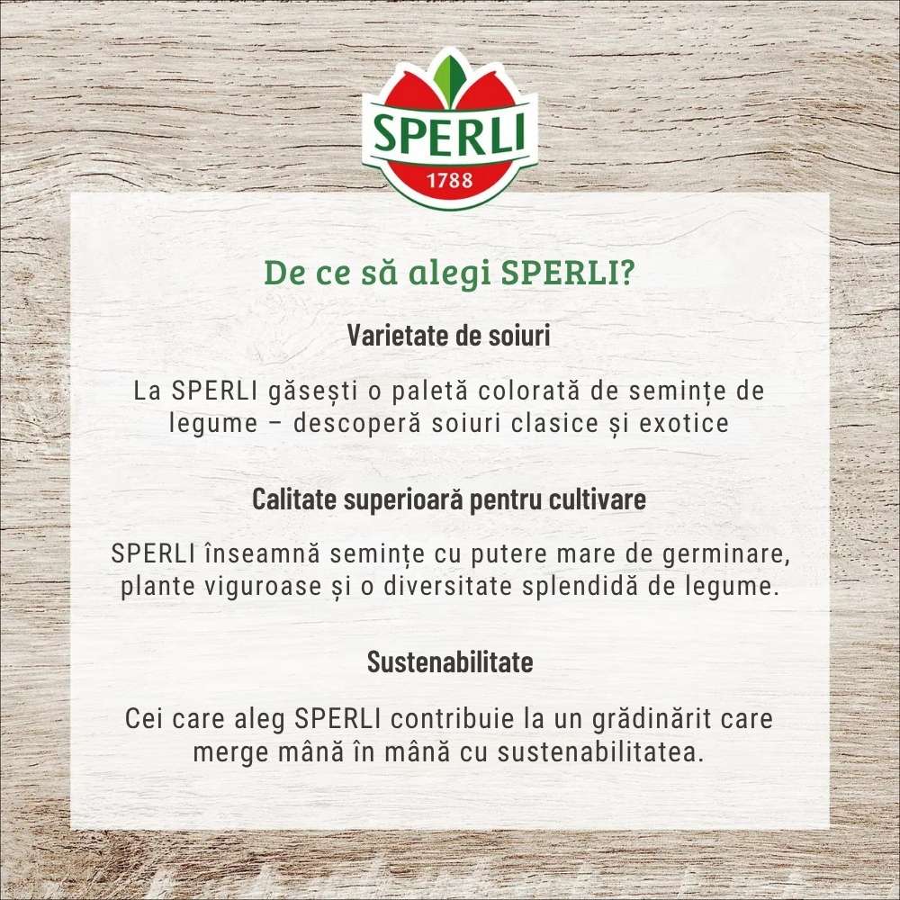 Seminte dovlecel Diamant F1 – fructe lucioase si uniforme