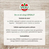 Seminte dovlecel Diamant F1 – fructe lucioase si uniforme