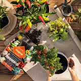 Substrat Mineral LECHUZA Veggiepon 6 l, pentru legume si ierburi aromatice, 100% fara turba, cu ingrediente naturale