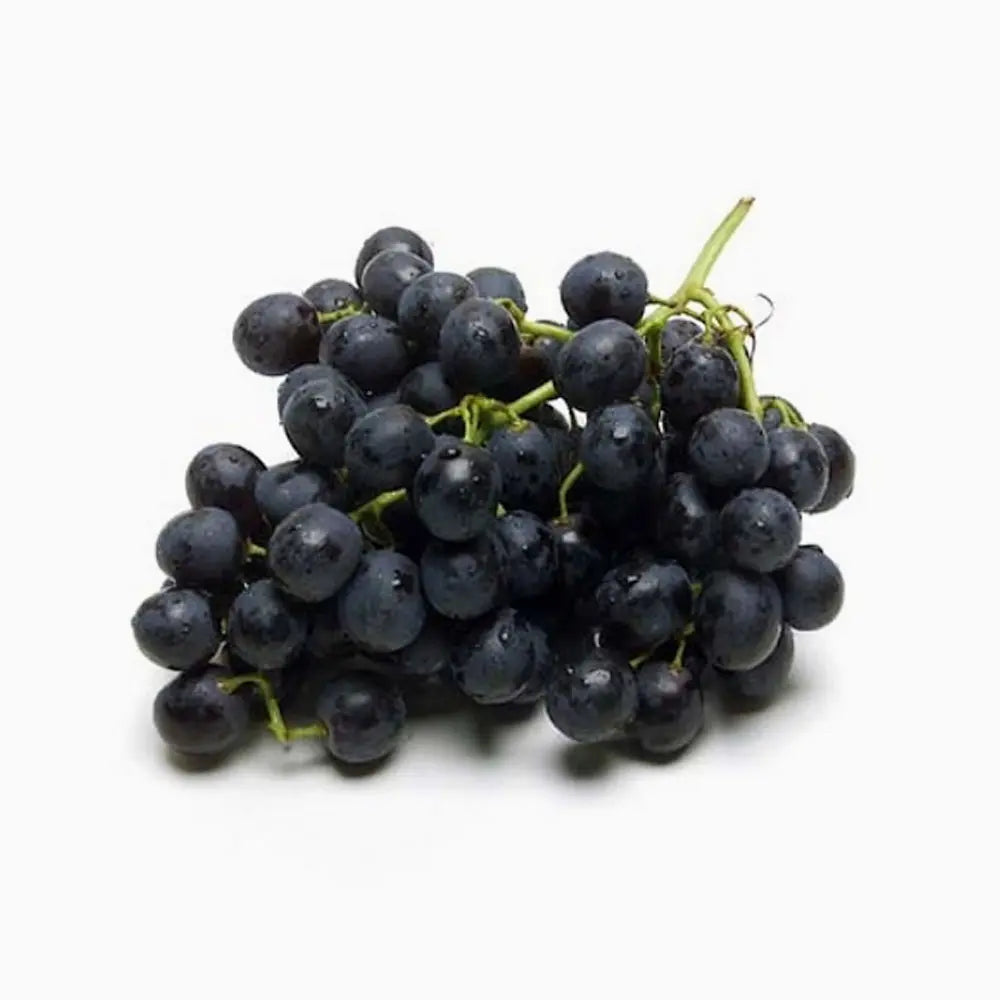 Vita de Vie (Vitis vinifera) Black Magic, cu struguri mari negri, an 2 pe rod