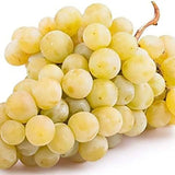 Vita de Vie (Vitis vinifera) Italia, cu struguri mari aurii, an 2 pe rod