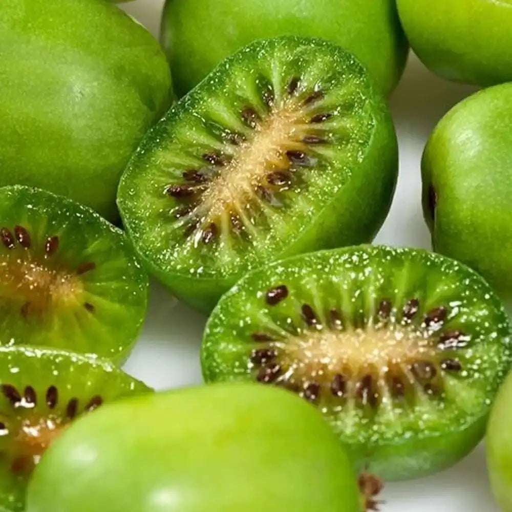 Kiwi de Siberia Issai (Actinidia arguta), autofertil, cu fructe mici dulci si productie bogata